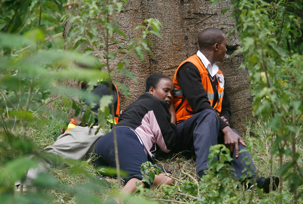 Террорист прятался на дереве