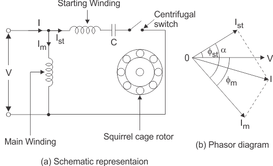 capacitor start run induction motor