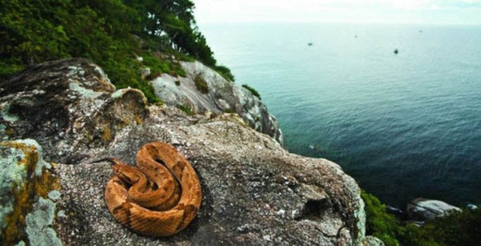 Απαγορευμένα μέρη στην Γη (2)
