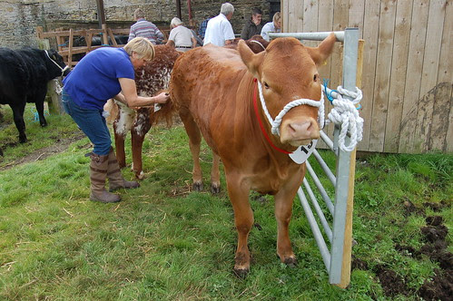 Bowes Agricultural Show Sept 12 (10)