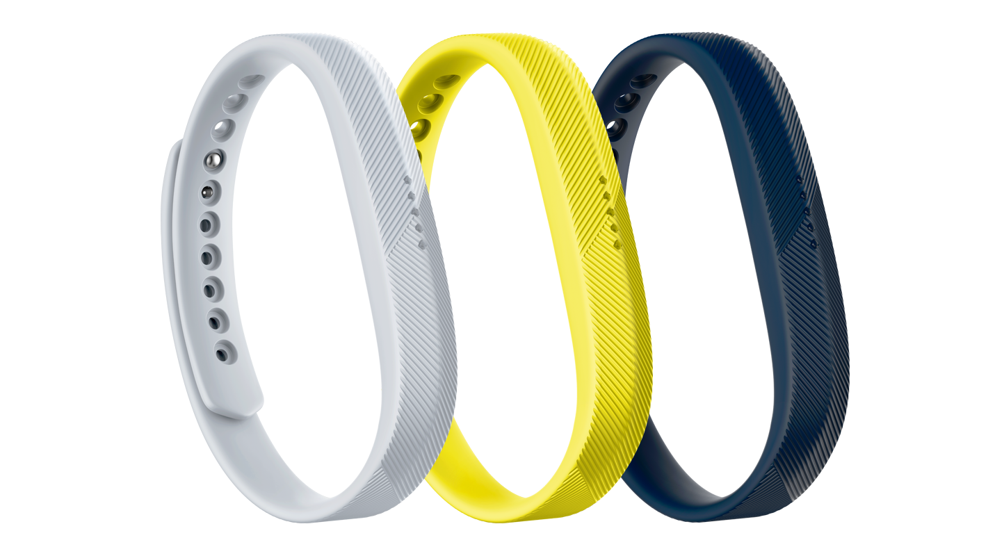 fitbit 1