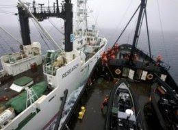 Japan Whaling