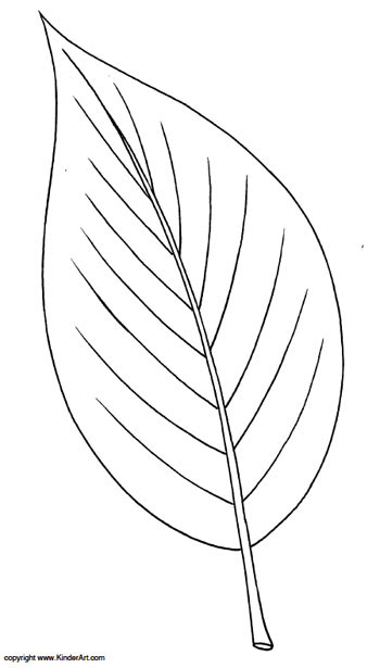 Leaf Coloring Pages | Coloringnori - Coloring Pages for Kids