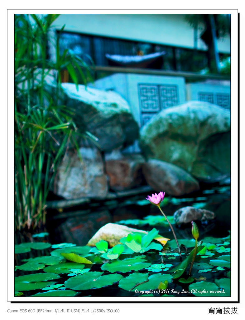 nEO_IMG_IMG_7311