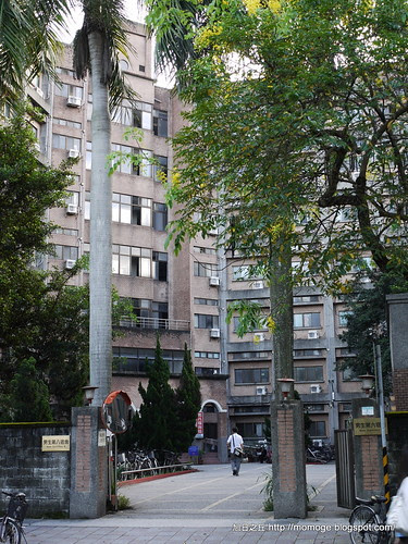 台大男八社,我的青春啊!