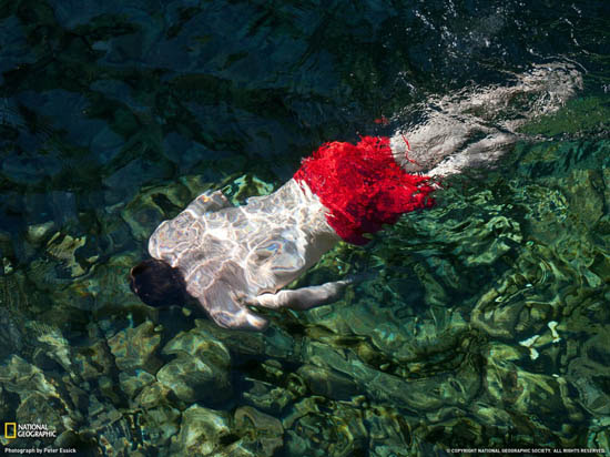 Perierga.gr - Οι κορυφαίες φωτογραφίες του National Geographic για τον Αύγουστο του 2011