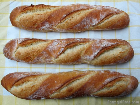 Four Hour Parisian Daily Baguettes, an easy French bread recipe (2) - FarmgirlFare.com