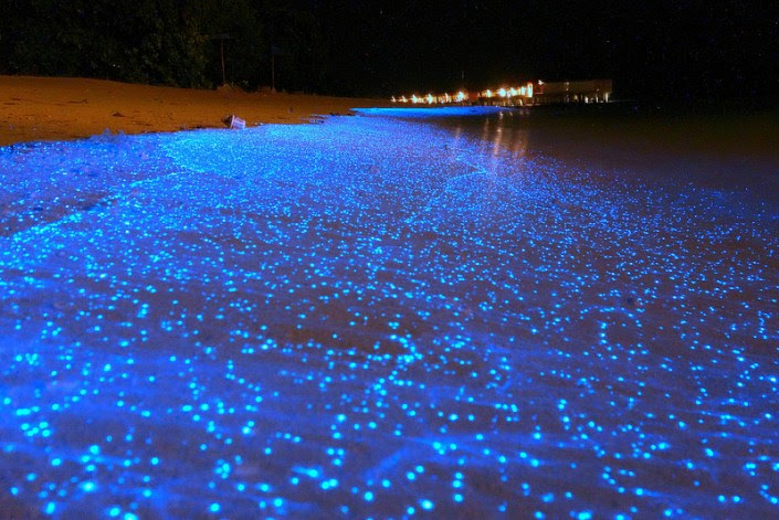 maldives 2