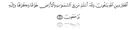 alimran