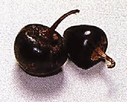 17+ Chile Guajillo Y Chile Cascabel Es Lo Mismo Images
