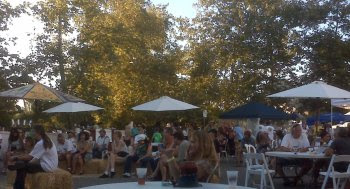 "Ojai Day" beer garden 350