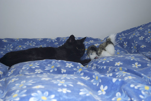 Huffle and Puppy 02