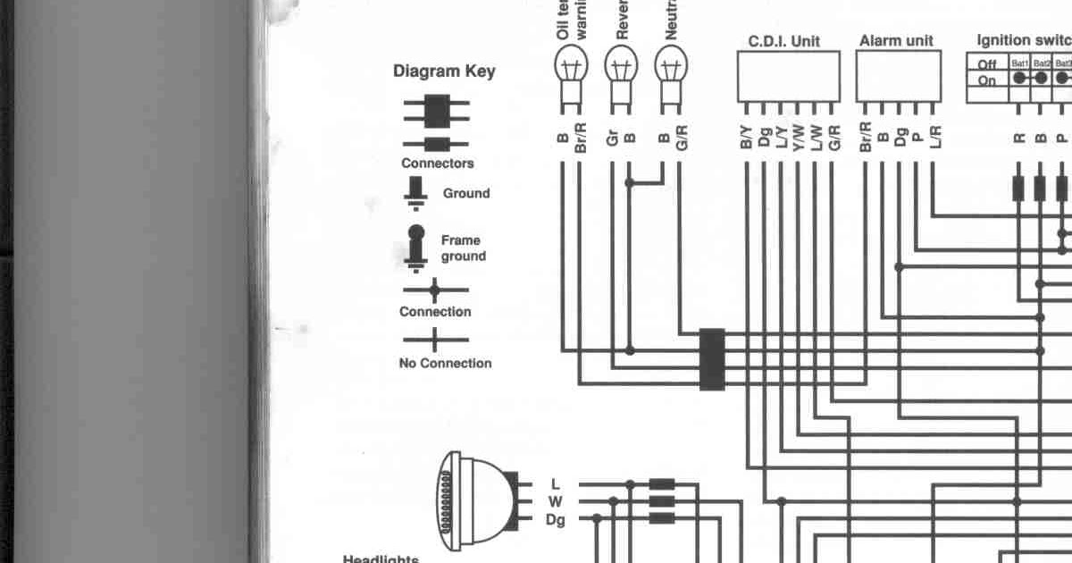 Honda 300ex Wiring Diagram - flilpfloppinthrough