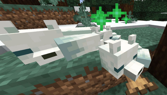 Japan Image マイクラ 狐