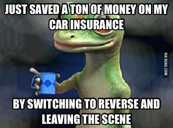 Geico Commercial Quotes Funny