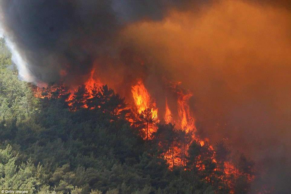 Fires in Turkey have destroyed at least 600 acres of woodland in the Aegean province of Izmir (pictured)