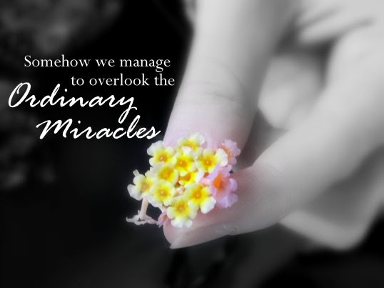 ordinary miracles