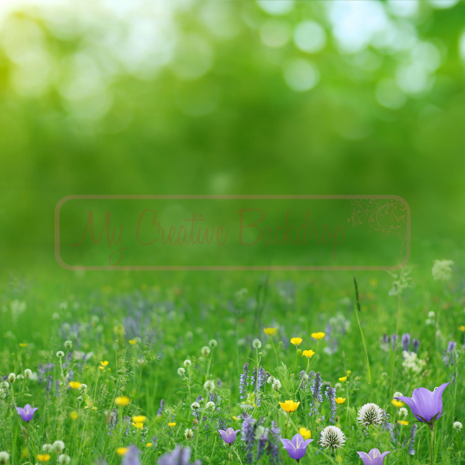 5ftx5ft Spring Meadow Vinyl Photography Backdrop - Creativebackdrops 5ftx5ft Spring Meadow Vinyl Photography Backdrop - Creativebackdrops