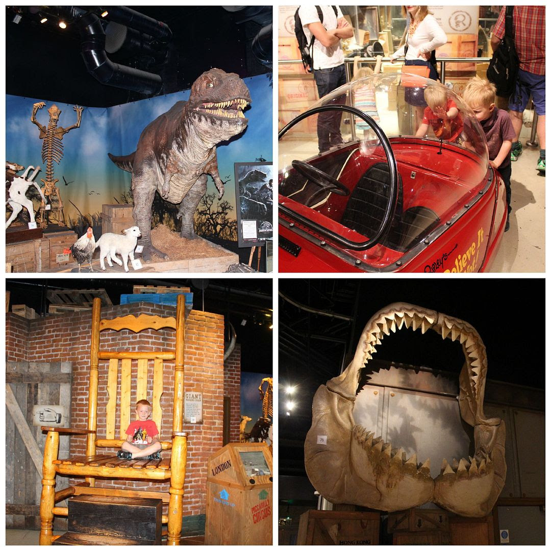 first floor at ripley's