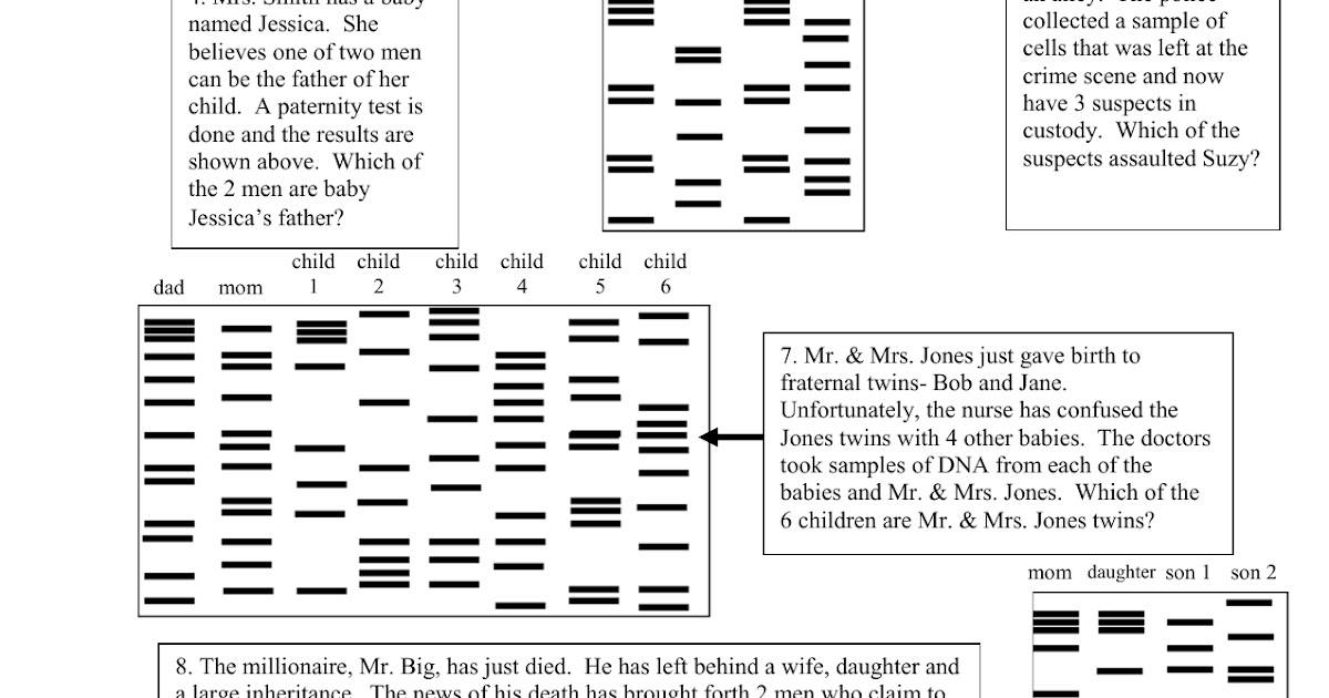 dna-fingerprinting-worksheet-answers