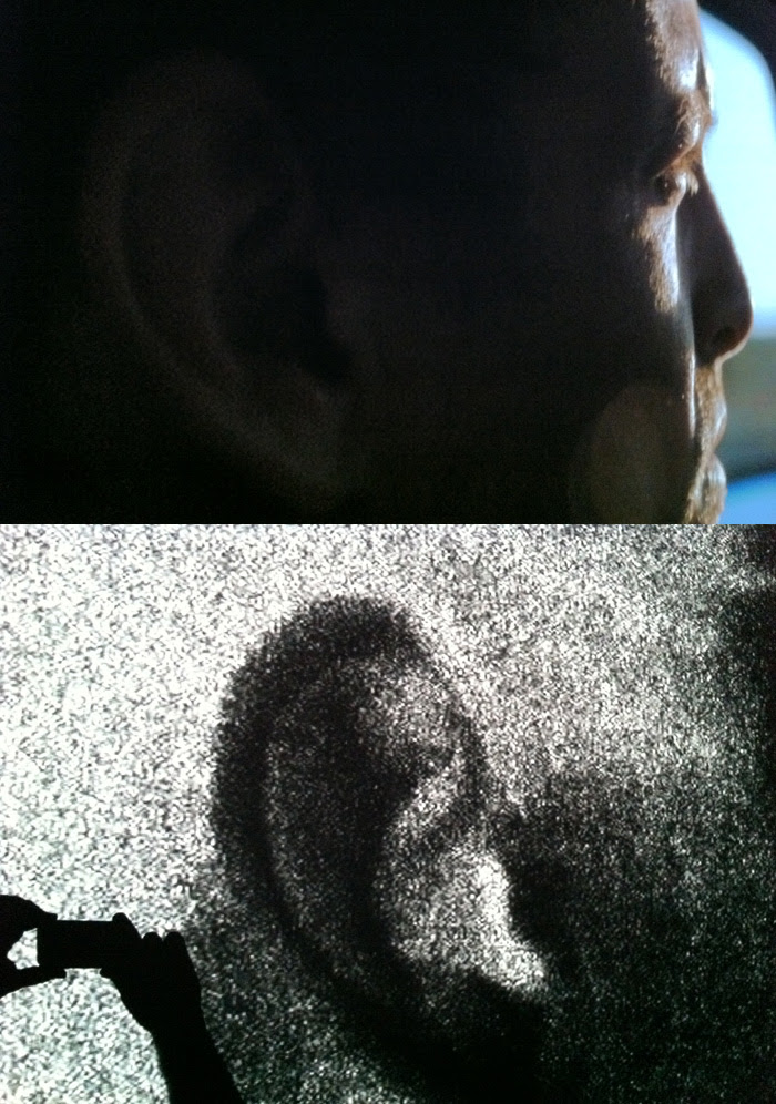 Ear