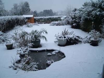 snow scene in East Cardiff