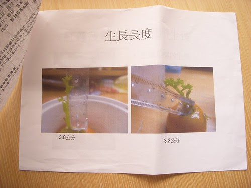 DSCN3296.JPG