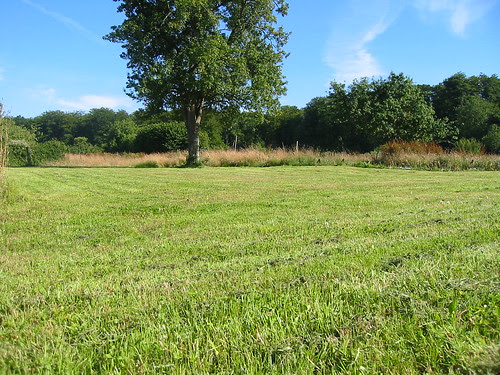 wide open spaces