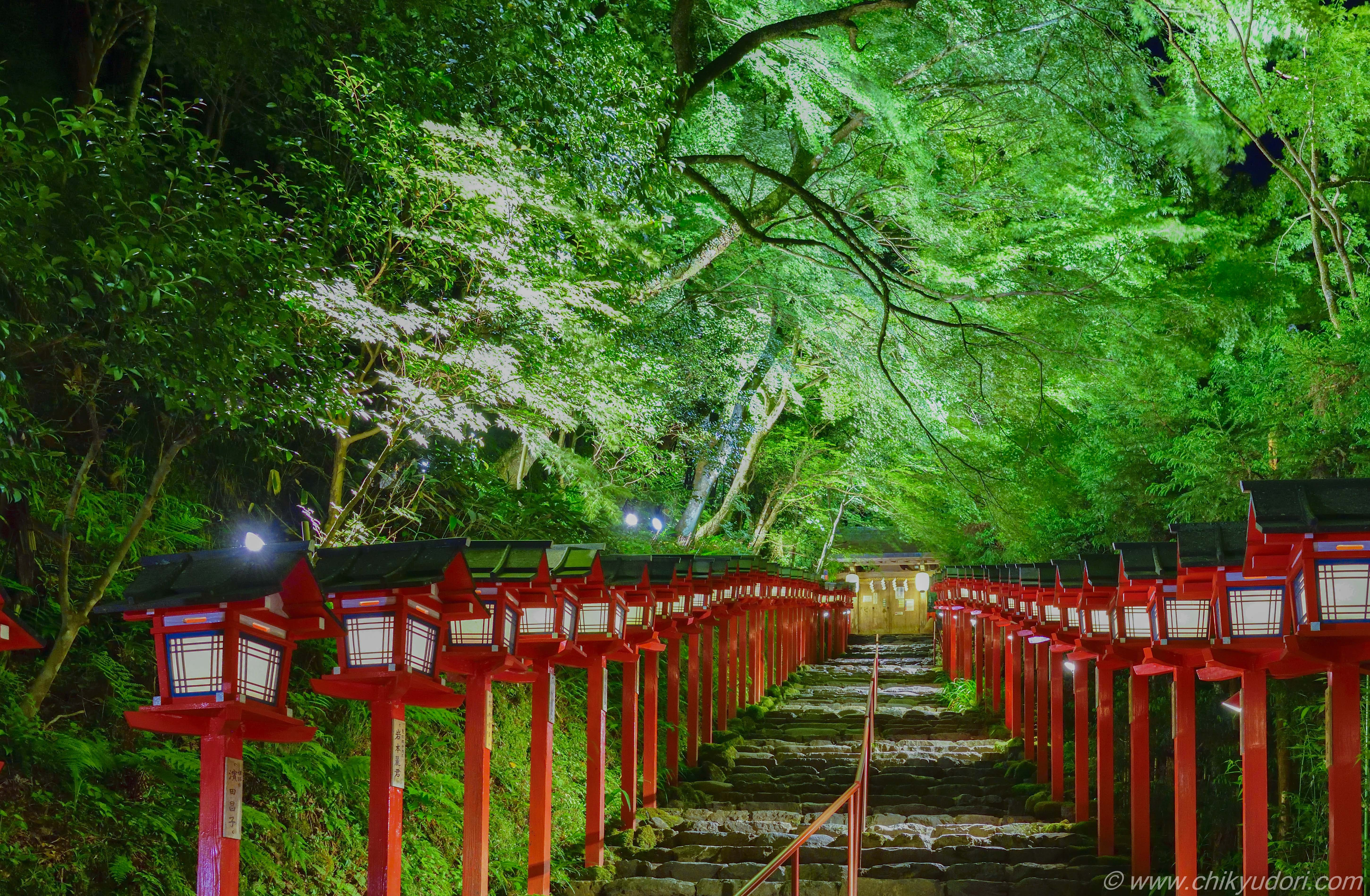 50 素晴らしい神社 壁紙 スマホ 最高の花の画像