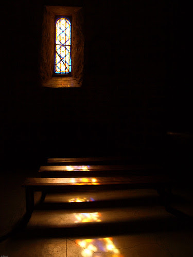 P6221131_1 (by X-it) P6221131_1 (by X-it)