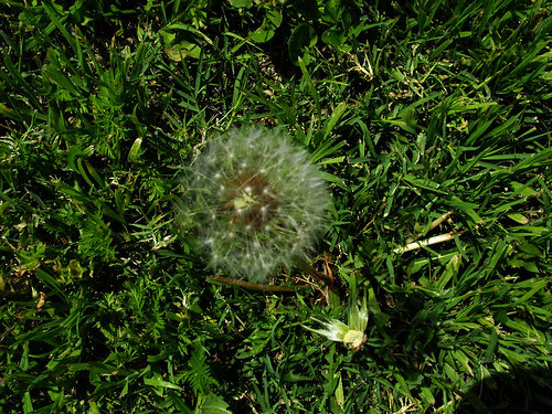 2010_04160038