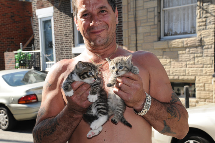 kitten mania kittens_9668 web