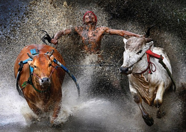 20120212_Bull_race_s