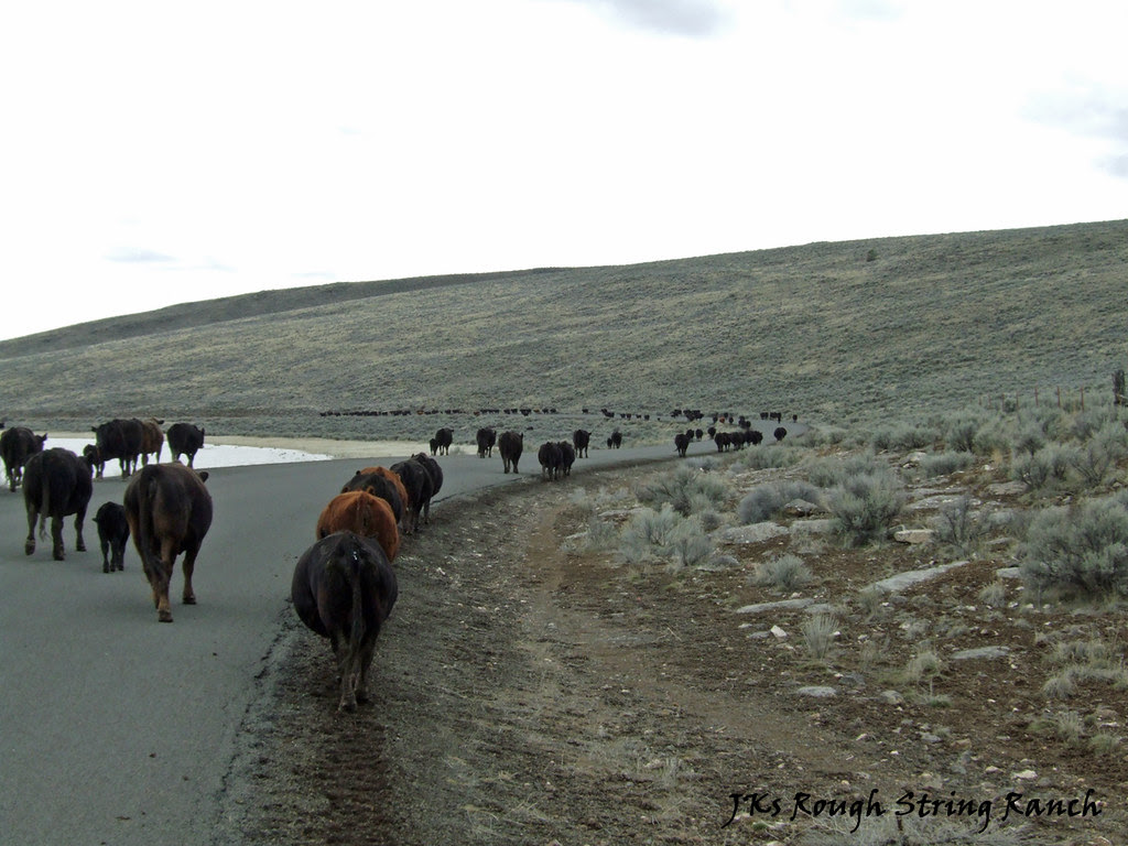 Skirting Along Dry Lake