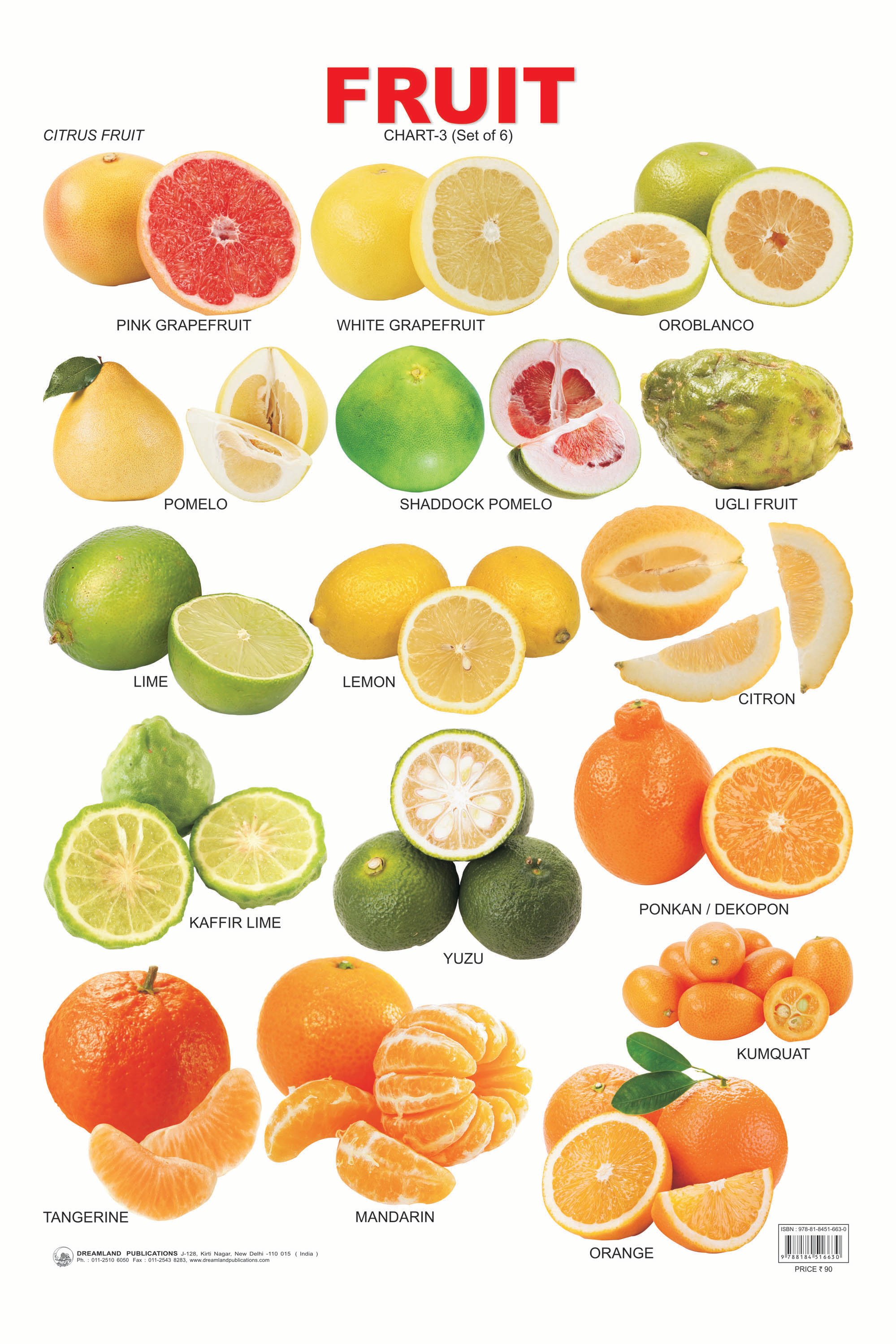 Fruits And Vegetables Names List
