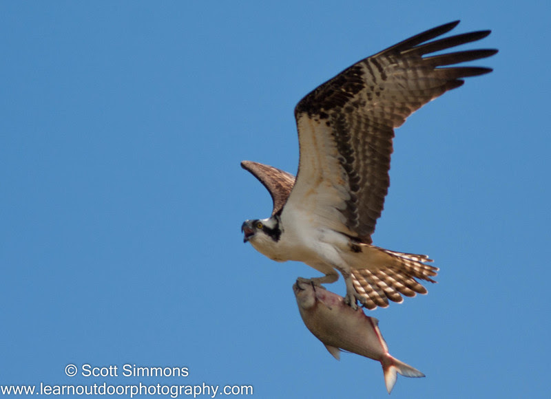 Photo & Video Sharing by SmugMug Photo & Video Sharing by SmugMug
