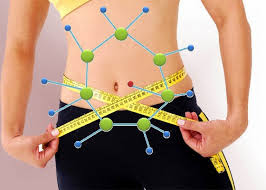 metabolismo