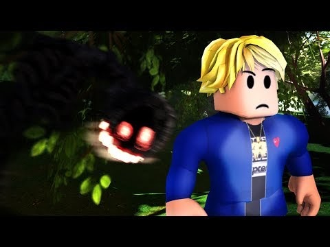 codes nicsterv