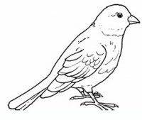 Disegni Da Colorare Animali Ovipari Coloratutto Website