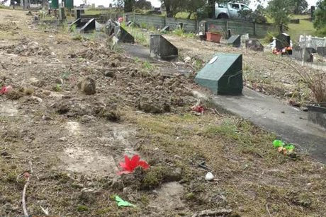 Families of infants buried at the Waikumete Cemetery say decorations were bulldozed and then thrown out