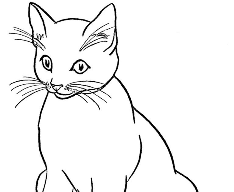 66 White Cat Coloring Pages For Free - Hot Coloring Pages