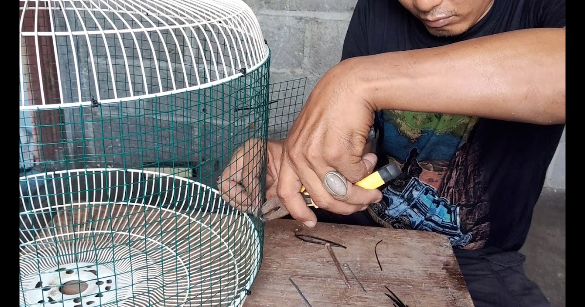 Cara Membuat Sangkar Burung Dari Jaring  Kawat  Sarekil