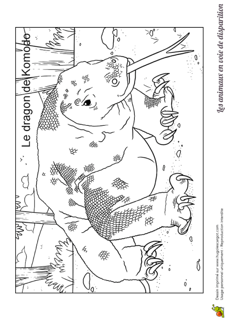 Coloriage Animaux En Voie De Disparition  Haut Coloriage HDImages et