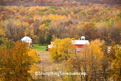 Autumn Scene with Farm in the Valley, Richland County, Wisconsin