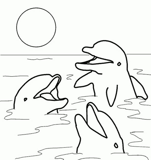 malvorlagen delphine