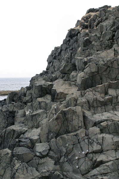 20060528-vs-0697