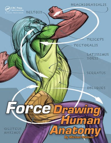 force drawing human anatomy michael mattesi pdf