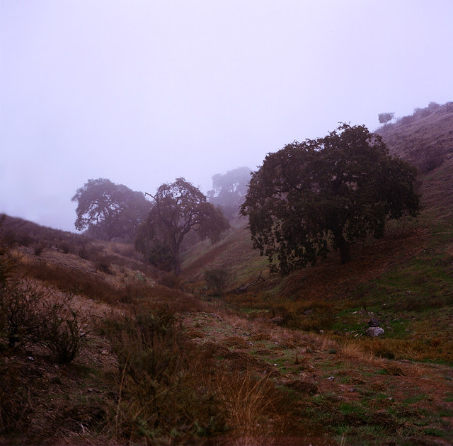Fog and Foothills
