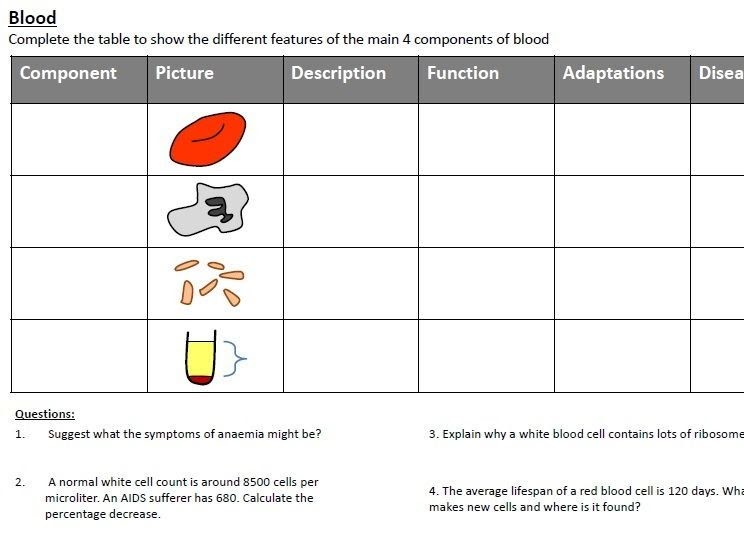 components-of-blood-worksheet-answers-worksheet