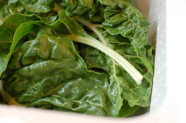 Rinsing the chard by Eve Fox, Garden of Eating blog, copyright 2011
